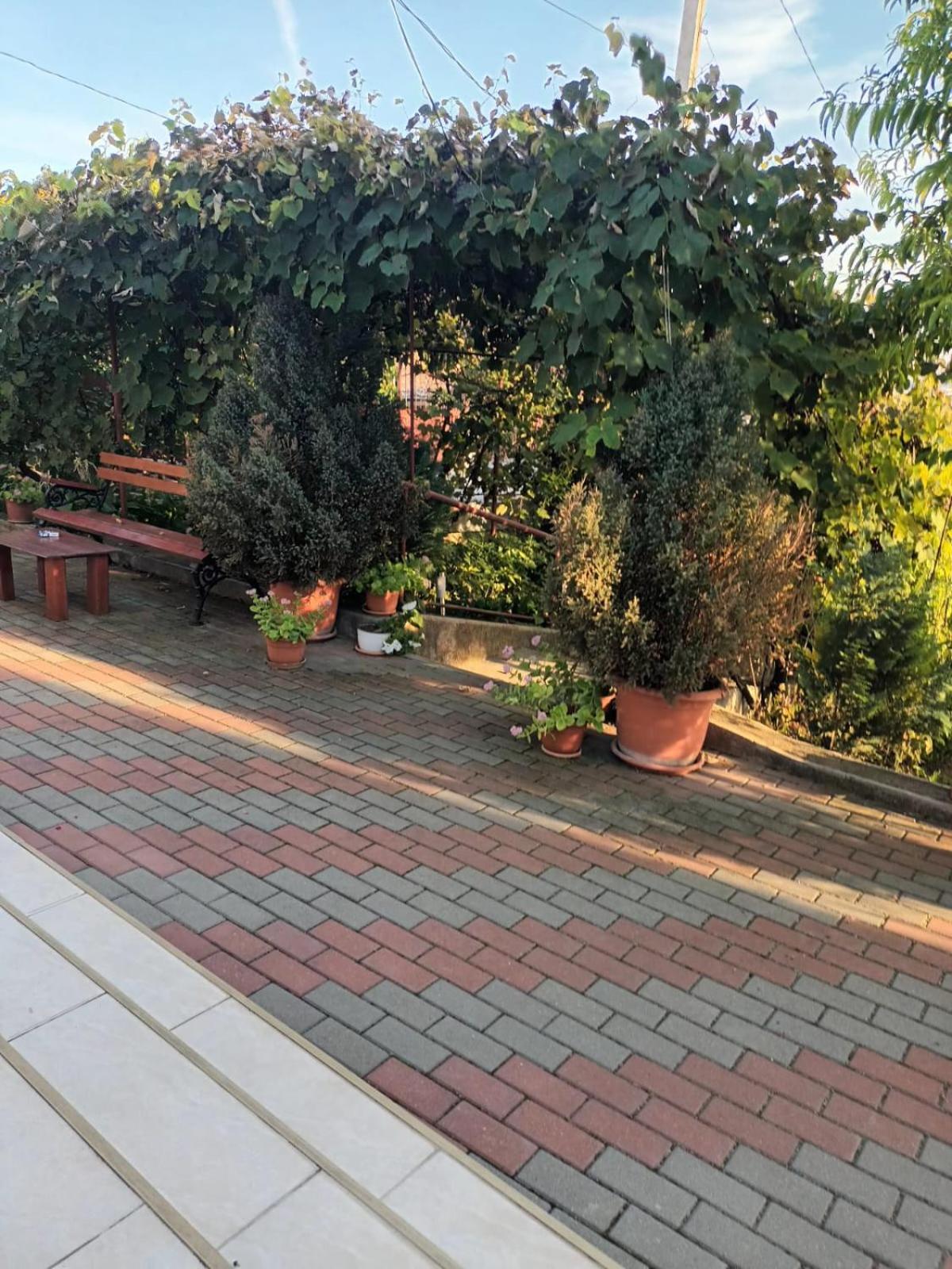 בית נופש Casa Matei טורדה