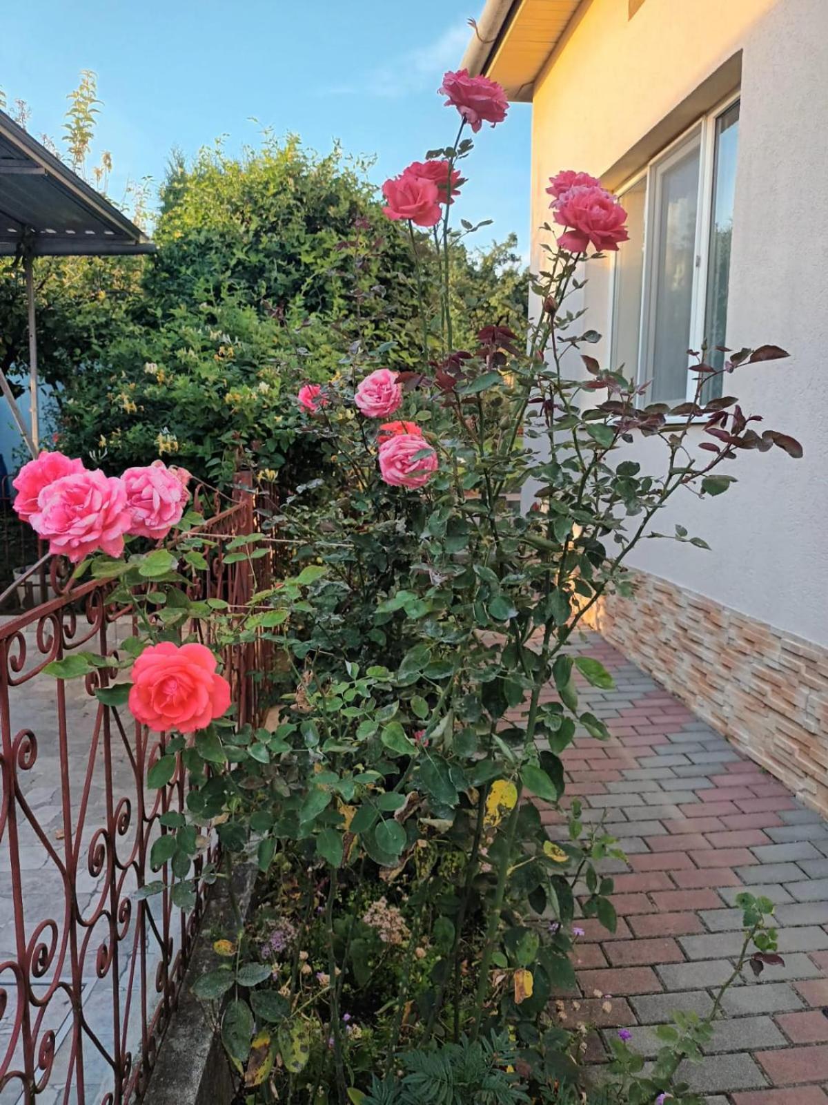 בית נופש Casa Matei